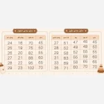ست بلوز شلوار دخترانه مدل پروانه جنس دورس لاکرادار رنگ سفید و کرم سایز 45 تا 65 - تصویر 6